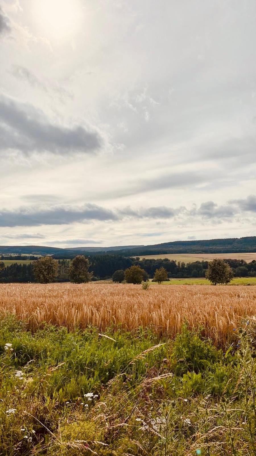 Ferienwohnung An Der Wildenburg Kempfeld Zewnętrze zdjęcie